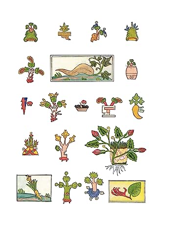 An Aztec Herbal: The Classic Codex of 1552 by William Gates