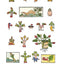 An Aztec Herbal: The Classic Codex of 1552