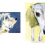Old Dogs