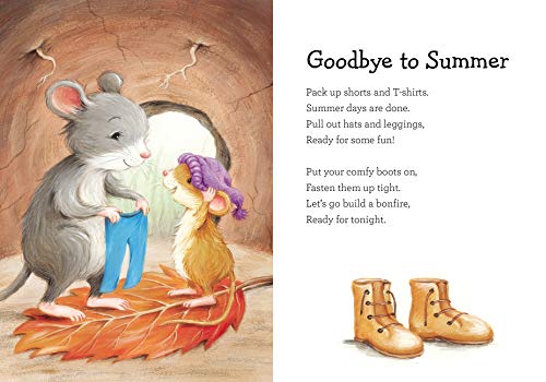 Snuggle Time Fall Blessings (a Snuggle Time padded board book)