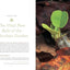 Bringing Nature Home: How You Can Sustain Wildlife with Native Plants, Updated and Expanded