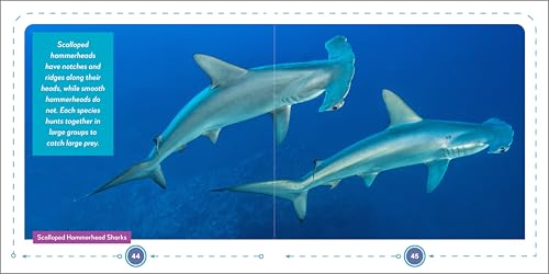 My First Book of Sharks: All About the Largest Fish in the Sea for Kids