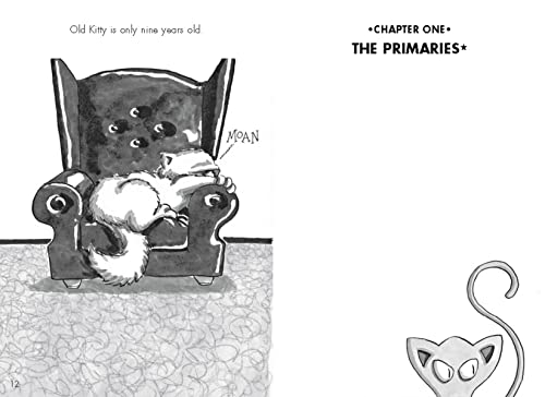 Bad Kitty for President (classic black-and-white edition)