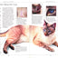 Complete Cat Care Manual: The Essential, Practical Guide to All Aspects of Caring for Your Cat