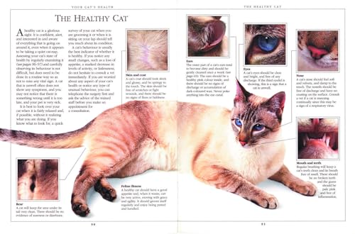 Complete Cat Care Manual: The Essential, Practical Guide to All Aspects of Caring for Your Cat