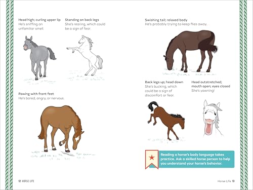Horse Life: The Ultimate Guide to Caring for and Riding Horses for Kids
