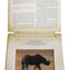 Safari: A Photicular Book
