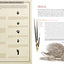 Cabinet of Curiosities: Collecting and Understanding the Won