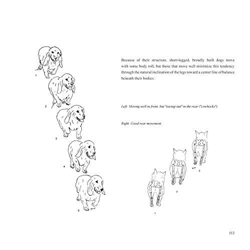 Dogsteps: A New Look, 3rd Edition (CompanionHouse Books) Definitive Manual to Canine Movement, Dog Anatomy, and Natural Gaits of Purebred Dogs; for Breeders, Judges, and Anyone Wanting to Show Dogs