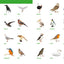 English Visual Dictionary