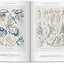 The Art and Science of Ernst Haeckel: 45th Ed. (45th Edition)