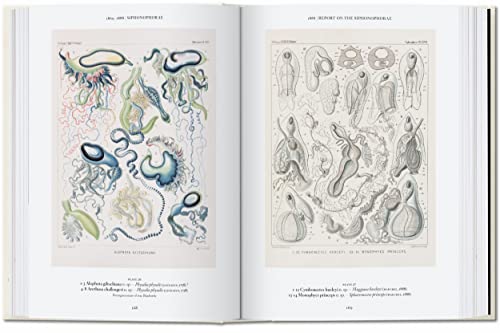 The Art and Science of Ernst Haeckel: 45th Ed. (45th Edition)