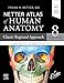 LATIN TERMINOLOGY Netter Atlas of Human Anatomy: Classic Regional Approach with Latin Terminology: paperback + eBook (Netter Basic Science)