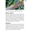 Green Anoles: From the Experts at Advanced Vivarium Systems (CompanionHouse Books)