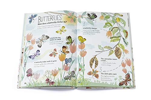 The Big Book of Bugs