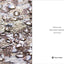 Maison Lesage: Haute Couture Embroidery