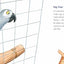 Memoirs of a Parrot