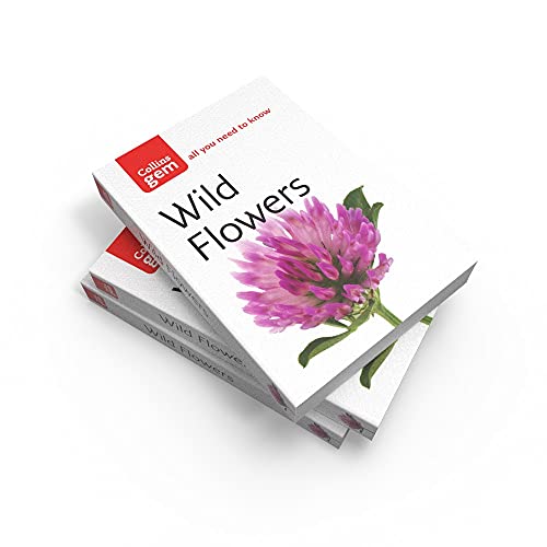 Wild Flowers (Collins Gem)