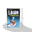 Introducing Lacan (Graphic Guides)