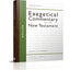 Matthew (1) (Zondervan Exegetical Commentary on the New Testament)