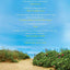 Beautiful Day: A Novel