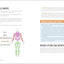 Beginner's Guide to Weight Lifting: Simple Exercises and Workouts to Get Strong