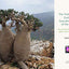 The Timber Press Guide to Succulent Plants of the World: A Comprehensive Reference to More than 2000 Species
