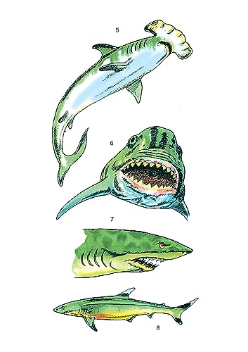 Sharks Tattoos (Dover Little Activity Books: Sea Life)