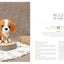 Crochet Cats & Dogs: 15 amigurumi patterns for pet lovers
