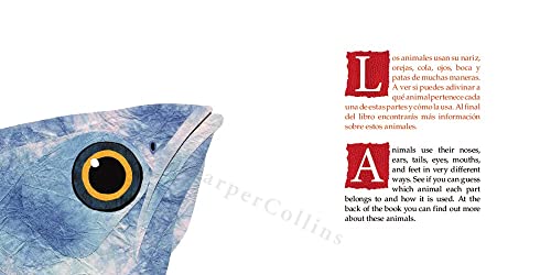 What Do You Do with a Tail Like This? Bilingual Edition: A Caldecott Honor Award Winner