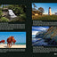 50 States 500 State Parks