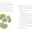 The Little Prince: A brand new edition of the classic illustrated children?s book to celebrate 80 enchanting years.