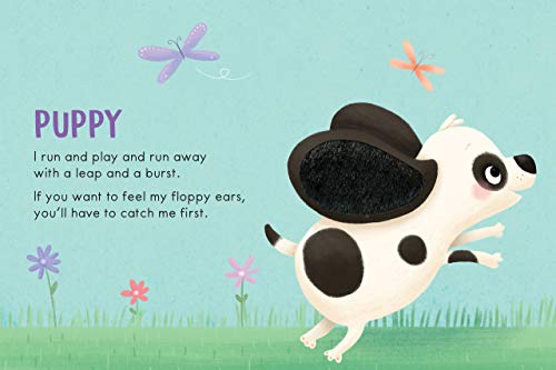 Baby Animals: A Touch and Feel Book - Childrens Board Book - Educational