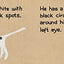 My Dog Spot