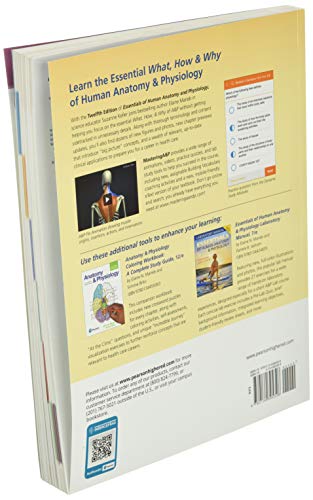 Essentials of Human Anatomy & Physiology