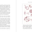 The Book of Lymph: Self-Care Practices to Enhance Immunity