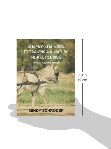 Step By Step Guide To Training A Miniature Horse To Drive: Second Edition