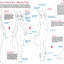 How to Draw Manga Furries: The Complete Guide to Anthropomorphic Fantasy Characters (750 illustrations)