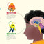 The Magical Science of Feelings: Train Your Amazing Brain to Quiet Anger, Soothe Sadness, Calm Worry, and Share Joy