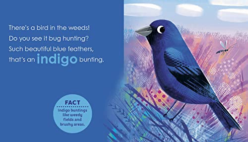 Birding for Babies: Migrating Birds: A Colors Book