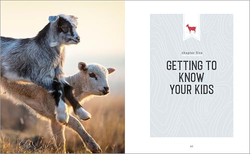 The Beginner's Guide to Raising Goats: How to Keep a Happy Herd