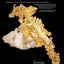 Ikons of the Mineral World: Nature's Finest Art
