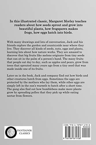 Seed-Babies: An Illustrated Children's Story of Plants, Eggs and Seeds in Nature