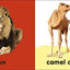 Baby Touch and Feel: Bible Animals