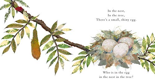 Who Is in the Egg? (Nature Revealed!) — back cover