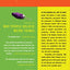 Why People Believe Weird Things: Pseudoscience, Superstition, and Other Confusions of Our Time