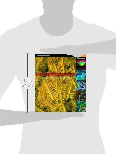 Invertebrates: A Quick Reference Guide (Oceanographic Series)