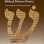 A Primer of Biblical Hebrew Poetry: An Essential Guide for Reading and Analysis