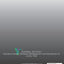 Espa?l En Vivo Level 2 for Grades 9-12: Instructional Spanish Workbook for Grades 9-12 (Espa?l En Vivo Instructional Spanish Workbook Series for Grades 9-12 (4 levels))
