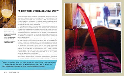 Natural Wine: An Introduction to Organic and Biodynamic Wine